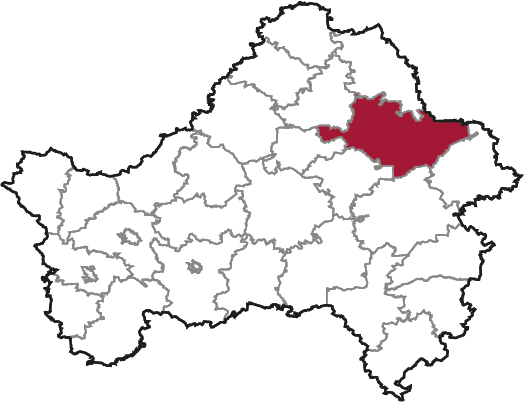 BRYANSK REGION